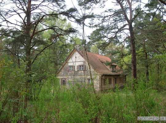 Grafika #1: Wyspa św. Franciszka