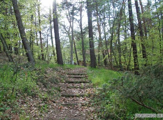 Grafika #5: Wyspa św. Franciszka