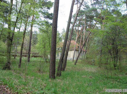 Grafika #6: Wyspa św. Franciszka