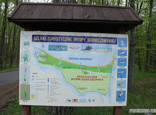 Grafika #8: Wyspa św. Franciszka