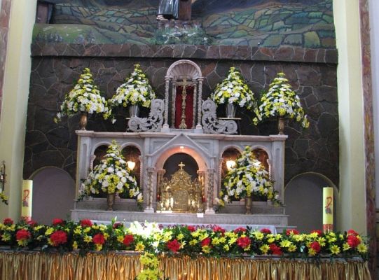 Grafika #14: Uroczystość św. Franciszka 2009